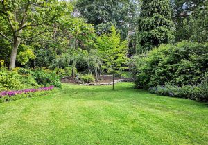 Optimiser l'expérience du jardin à Prouilly